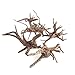 Yumian Fish Tank Wood Decorations - Wood Natural Trunk Driftwood Tree Aquarium Fish Tank Plant Stump Ornament Decor - 1 pcs Aquarium decoration for Fish Tank (Large/11.02