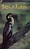 Front cover for the book Birds of Florida by Frances W. Hall
