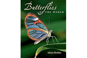 Butterflies of the World