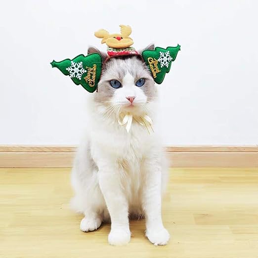 accesorios para perros amazon