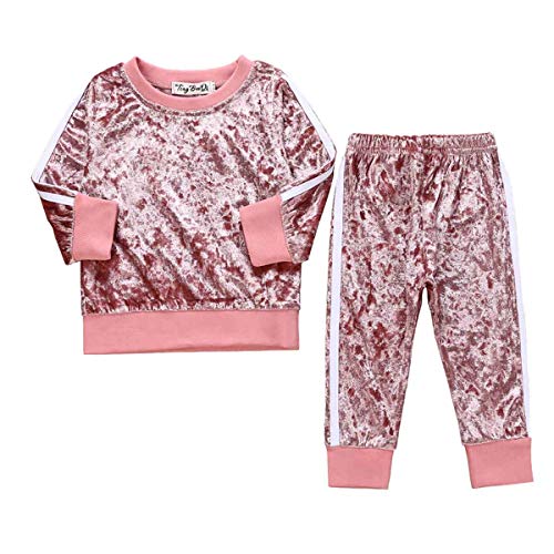 2Pcs Baby Girls Boys Velvet Long Sleeve Blouse Tops + Long Pants Outfits Set Coral Fleece Fall Winter Clothes (Pink, 110 (3-4T))