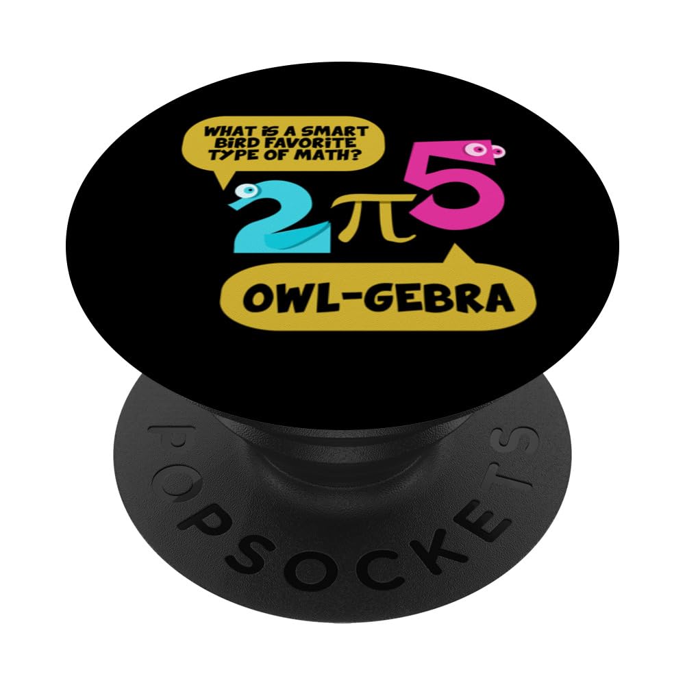 Best Math Teacher Ever Gifts Mathematician Quotes PopSockets Adhesive PopGrip