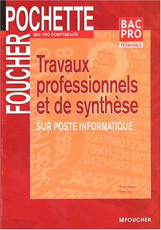 Travaux professionnels et de synthèse sur poste informatique