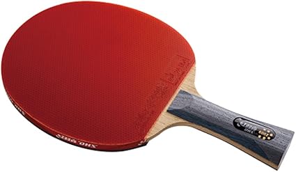 Dhs ping pong paddle Clearance