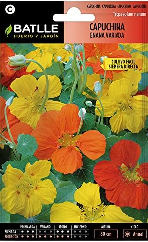 Semillas de Flores - Capuchina enana variada - Batlle: Amazon.es ...