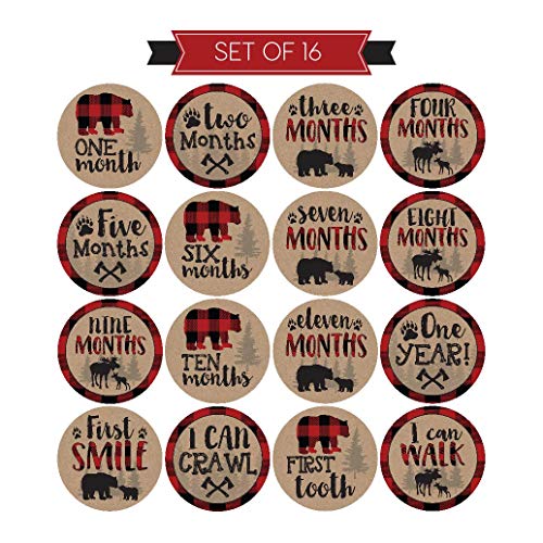16 Woodland Bear Baby Milestone Stickers, Rustic Winter 12 Monthly Photo Picture Props For Boy or Girl Infant Onesie, 1st Year Months Belly Decal, Scrapbook Memory Registry Gift Lumberjack Shower Idea