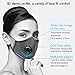 Dust Mask Adult Anti PM 2.5 Pollen Smoke Protection Washable Anti-Fog and Earloop Mouth Mask With 2 Filters
