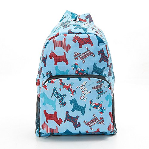 eco chic foldable backpack