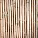 Bond SMG12068 Miracle-Gro Super Pole, 5ft x 1in Bamboo Stakes, 4 Pack, Natural