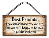 Gigglewick Gifts Funny Sign Shabby Chic Wooden Wall Plaque Crazy Best Friends They Know How Crazy You Are And Still Happy To Be Seen In Public With You