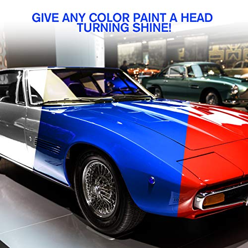10H Ceramic Coating, 2020 Upgraded Version Automotive Polish High Gloss Anti Scratch Car Kit Liquid Nano Ceramic Coating Paint Protection Sealant Super Hydrophobic Coating (30ML)