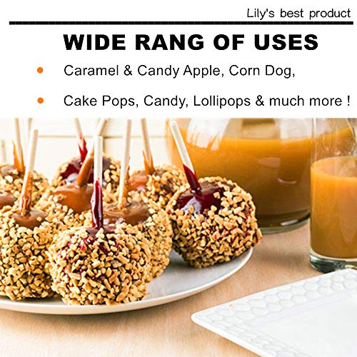 image for HOPELF 5.5 inch Sturdy Bamboo Skewers Sticks for Caramel Candy Apple,C