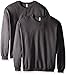 Fruit of the Loom Men's Crew Sweatshirt (2 Pack), Charcoal Heather, X-Large