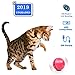 CHERRYLIFE Smart Interactive Cat Toy - 2019 Newest USB Rechargeable Cat Toy Ball, 360 Degree Self Rotating with Built-in Led Light,More Exercise for Your Kitty