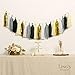 Ling's moment 20pcs Tassel Banner Tissue Paper Tassels, Fiesta Fringe Garland, Black & Gold Garland for Graduation Wedding Birthday Party& Event DIY Kits - (Metallic Gold+Black+White+Gray+Ivory)