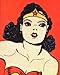 Wonder Woman: The Complete History by Les Daniels