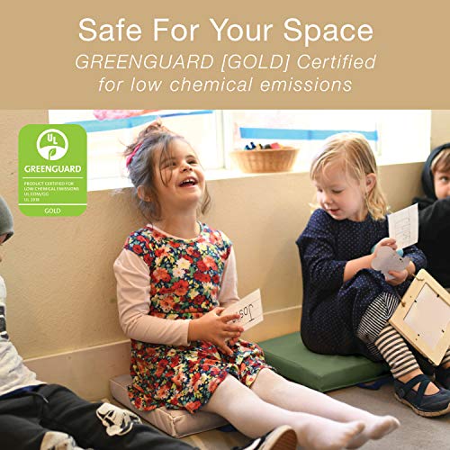 4 ECR4Kids+SoftZone+Cushions+Handles+Earthtone