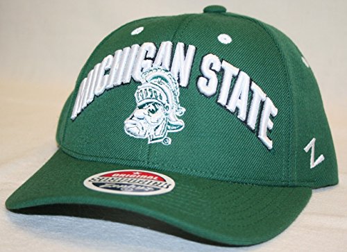 Buy Michigan State Spartans NCAA Green 