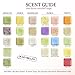 Pre de Provence Artisanal Soap Bar, Enriched with Organic Shea Butter, Natural French Skincare, Quad Milled for Rich Smooth Lather, Lavender, 8.8 Ounce
