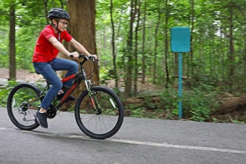 gauntlet mountain bike