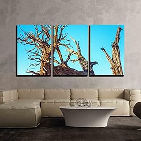 3 Piece Canvas Wall Art - Dead Horse Point State Park Utha - Modern Home Art Stretched and Framed Ready to Hang - 16"x24"x3 Panels