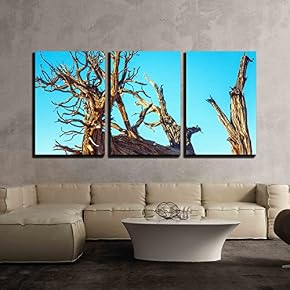 Dead Horse Point State Park Utha x3 Panels