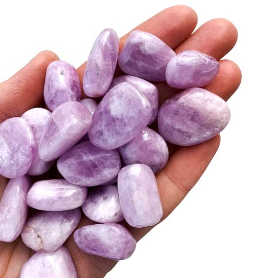 TENET - Pack of 3 natural stone polished for crystal therapy, reiki and meditation - 20-25 mm (KUNZITE)