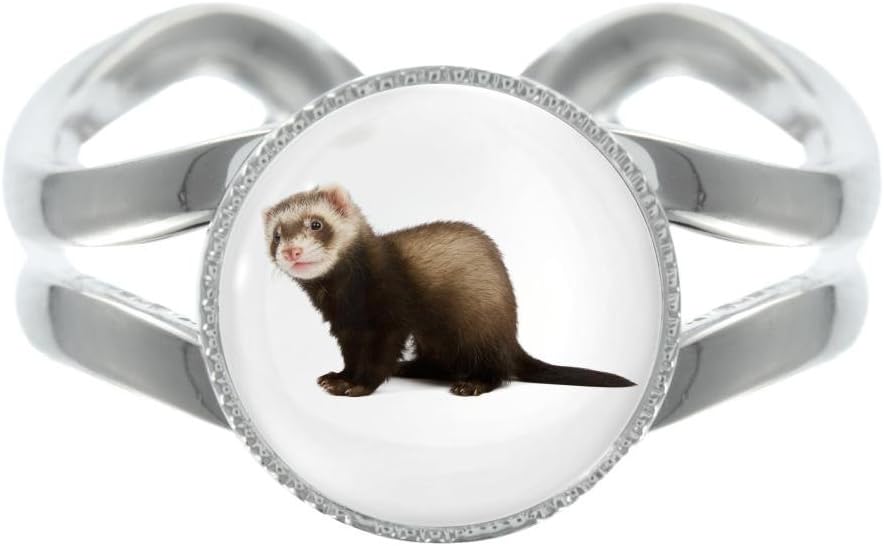 Huron silver | Los mejores artículos para tu hurón.