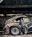 Baillon Collection: A Sensational Barnfind (English and German Edition)