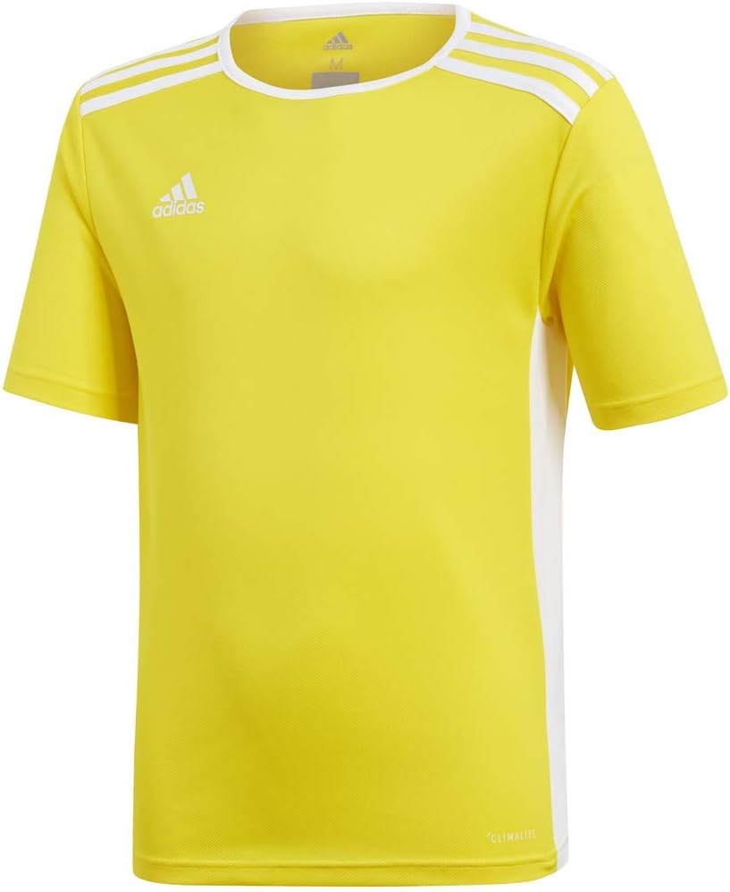 adidas Entrada 18 Jersey Shirt