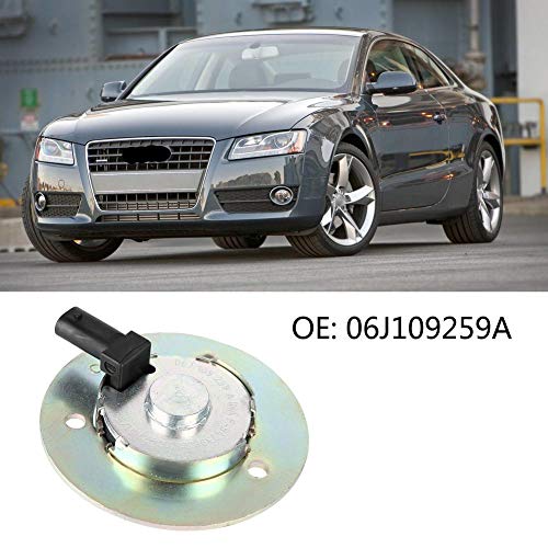Terisass 06J109259A Car Camshaft Adjuster Magnet Vehicle Camshaft Adjuster Magnet Cylinder Head Replacement for A3 A4 A5 Q5 Eos Comfortline Gl Highline Komfort Turbo Value Edition Wolfsburg 2005-2014