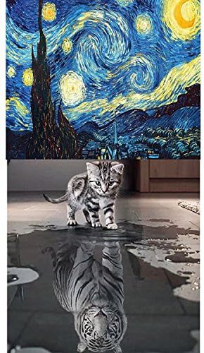 2 Packs 5D DIY Diamond Painting By Number Kits, Full Drill Crystal Rhinestone Starry and Cat and Tiger Paintings Pictures Arts Craft for Home Wall Decor, Starry Sky 16X16inch