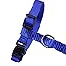 Pecute Pet Cat Lead Leash Halter Harness Kitten Nylon Strap Belt Safety Rope Adjustable Cat Dog Collar (Blue)