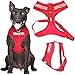 SERVICE DOG (Do Not Disturb/Dog Is Working) Red Color Coded Non-Pull Front and Back D Ring Padded and Waterproof Vest Dog Harness PREVENTS Accidents By Warning Others Of Your Dog In Advance (M)