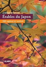 Érables du Japon