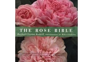 The Rose Bible
