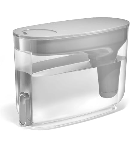 Amazon.com: LifeStraw Home– Water Filter Dispenser, 18-Cup: Home