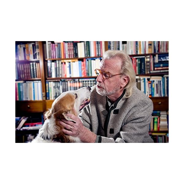 beruhigungsmittel hund autofahren