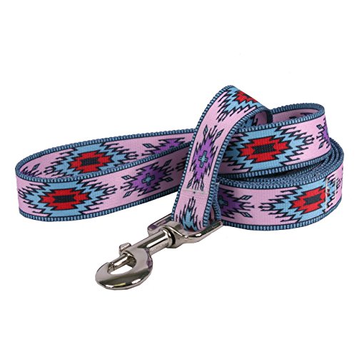 Yellow Dog Design Indian Spirit Pink Dog Leash 1" Wide And 5' (60") Long, Large