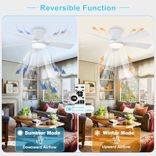 Depuley Modern Ceiling Fan with Light: Small 42 inch White Fan - Dimmable Ceiling Fan with Remote Control 5 Reversible White Blades 6 Speeds Timer