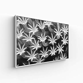 Canvas Wall Art for Living Room, Bedroom Monochrome Plants Framed Canvas Prints for Home Decoration Ready to Hang - 16x24 inches