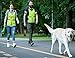 Crazy Flash Sale | Reflective Running Vest - Reflective Gear for Running, Cycling, Jogging, Walking, Motorcycle | Adjustable | Front Zipper | Back Pocket | Bonus - Set of 2 Bands | for Men and Women