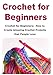 Crochet for Beginners:  How to Create Amazing Crochet Projects that People Love
