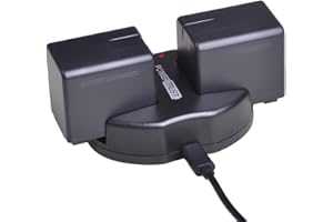 PowerTrust Replacement 2-Pack VW-VBT380 VBT380 VW-VBT190 Battery + Fast Dual Charger for Panasonic HC-V720,HC-V727,HC-V730,HC