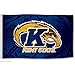 Kent State Golden Flashes KSU University Large College Flag