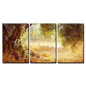 Shades of Autumn - Canvas Art