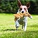 KONG - Scrunch Knots Squirrel - Internal Knotted Ropes and Minimal Stuffing for Less Mess - For Small/Medium Dogs