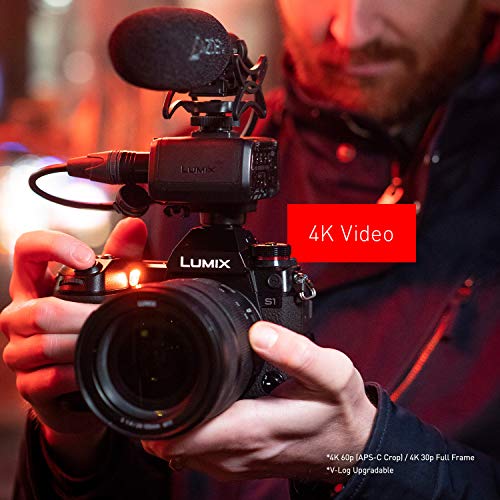 Panasonic LUMIX S1 Full Frame Mirrorless Camera with 24.2MP MOS High Resolution Sensor, 24105mm