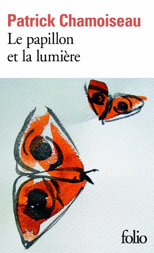 Le  papillon et la lumière
