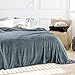 Luxury Collection Ultra Soft Plush Fleece Lightweight All-Season Throw/Bed Blanket (King (102-Inch-by-90-Inch), Azure Gray)